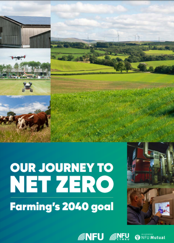 Our Journey To Net Zero 2021