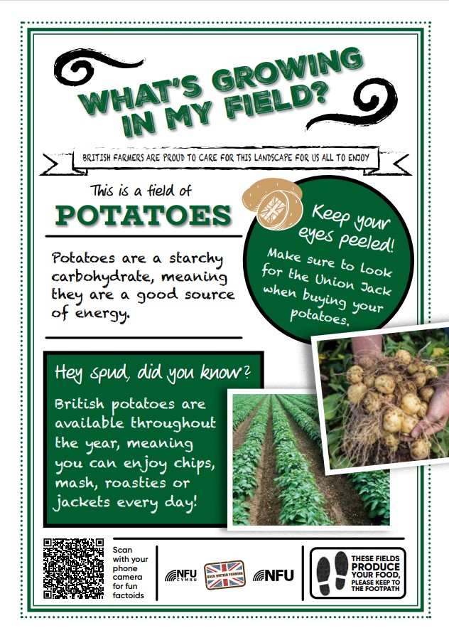 What's growing in my field – potatoes