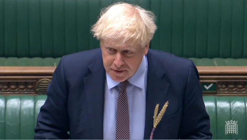 Prime Minister Boris Johnson wear wheat pin badge_74764