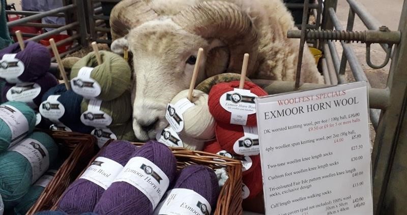 Exmoor wool_74991