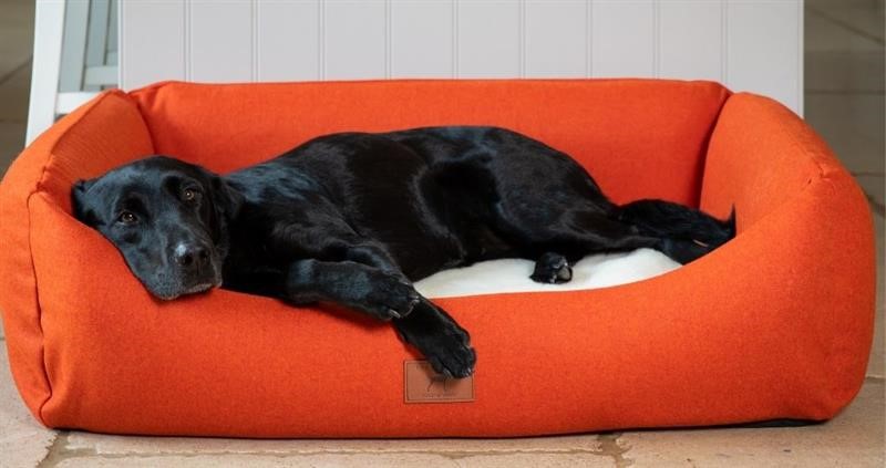 Wool dog bed_74989