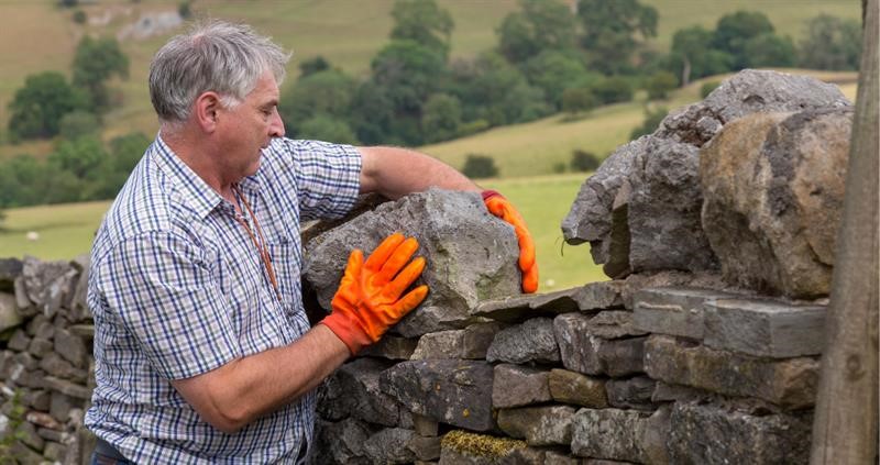 Thomas Binns maintain a dry stone wall in an uplands landscape_59353