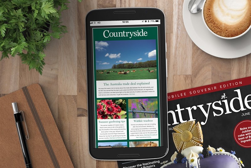 Countryside newsletter sign-up June22_84434