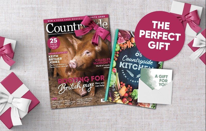 Countryside gift membership Feb issue _82337