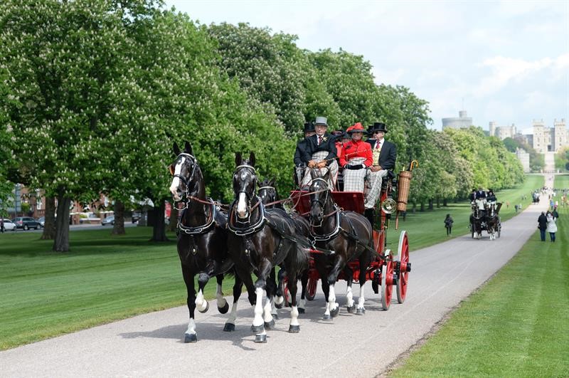 An image of horses and carriage at Windsor Castle