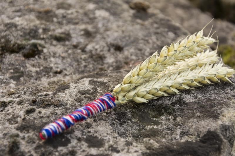 Back British Farming lapel pin made of British wheat and wool lying on stone wall