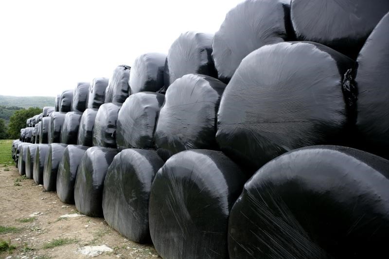 Image of wrapped bales