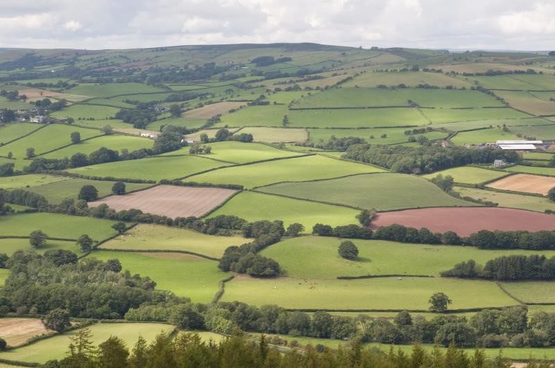 Image of Welsh farmland