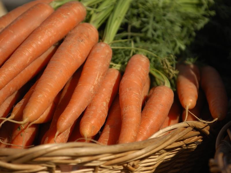 Carrots in a basket