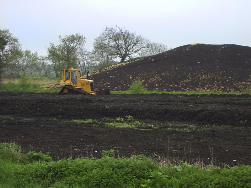 Phasing out peat use in horticulture Defra call for evidence