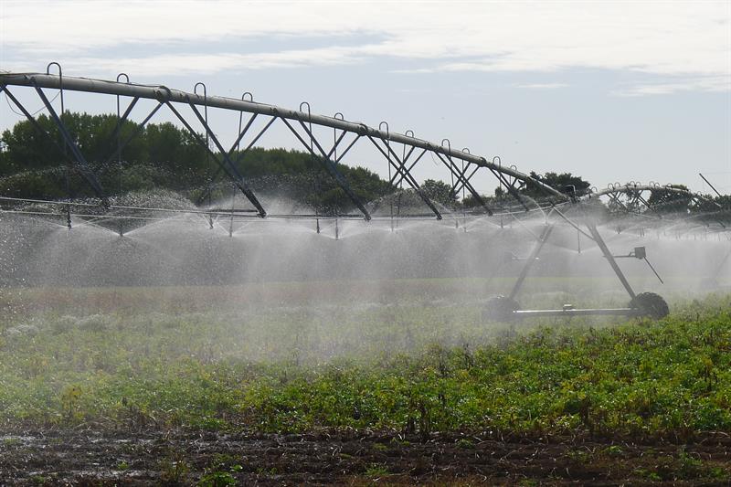Crop irrigation - a strategic review of abstraction charges is under way.