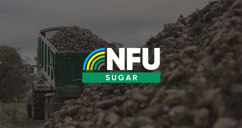 NFU Sugar logo in front of a trailer full of beet