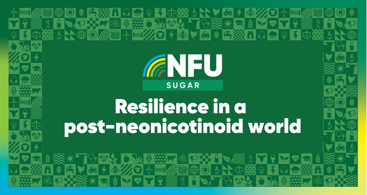 Green background with squares that are filled with farming icons, then in the middle there is an NFU Sugar logo with the title of the event: Resilience in a post-neonicotinoid world