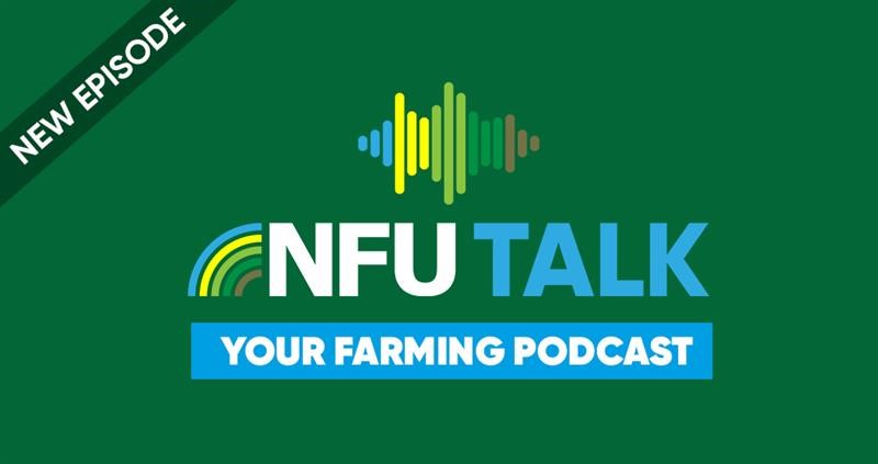 NFU Talk: episode 1_75190