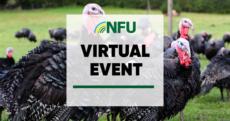 Virtual meeting - Turkey_78046