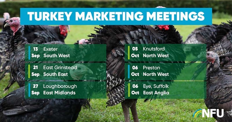 Calendar of regional turkey meetings_80010