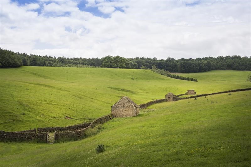 An image of fields and a stone wall in Derbyshire farmland