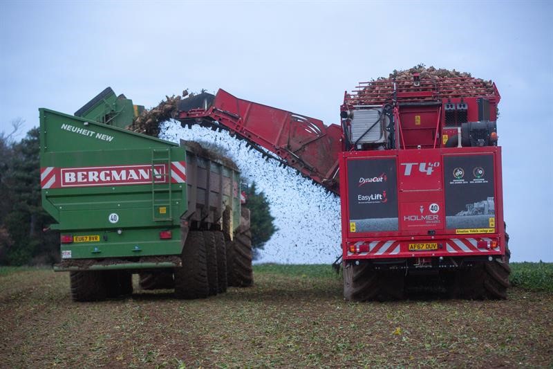 A trailer in a field receiving harvest from a sugar beet harvester