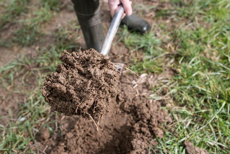 Soil on a spade