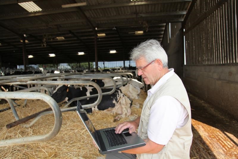 An image of a man using a laptop within a cattle shed. In the background you can see hay bales and cows.