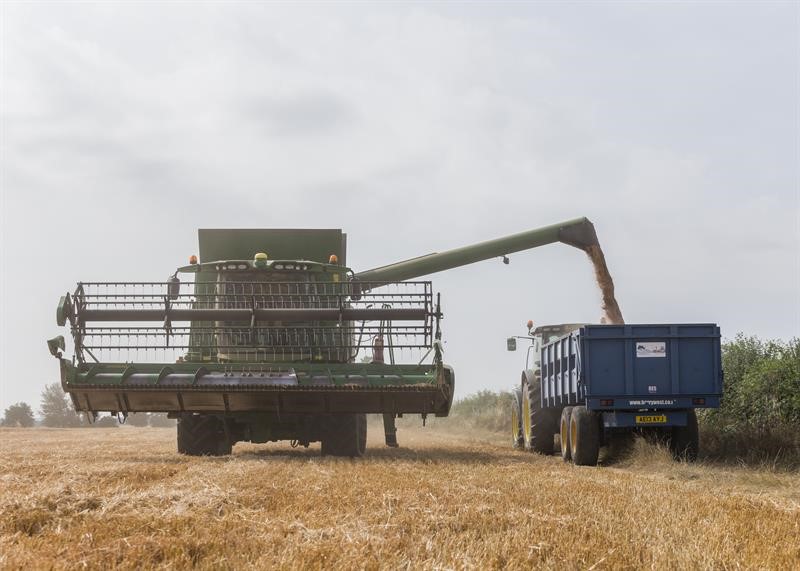 An image of wheat being harvested
