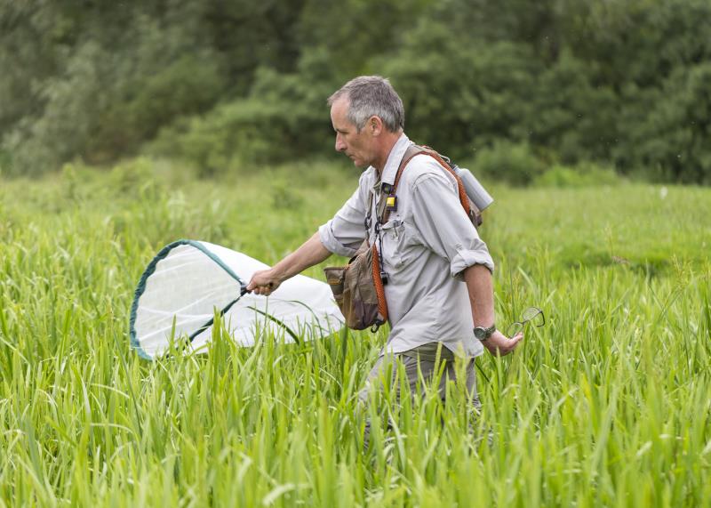 Man in field with bug net