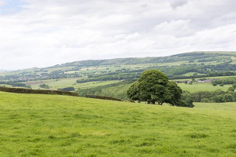 Image of farmed landscape