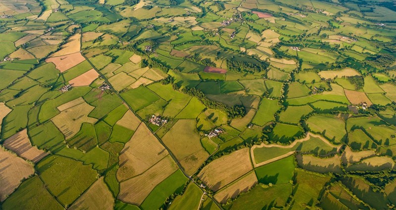 An aerial view of farmland fields