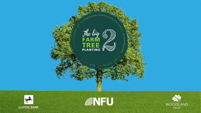 A graphic promoting the Big Farm Tree Planting featuring a large free in the centre, the name of the initiative and logos of supporting organisations