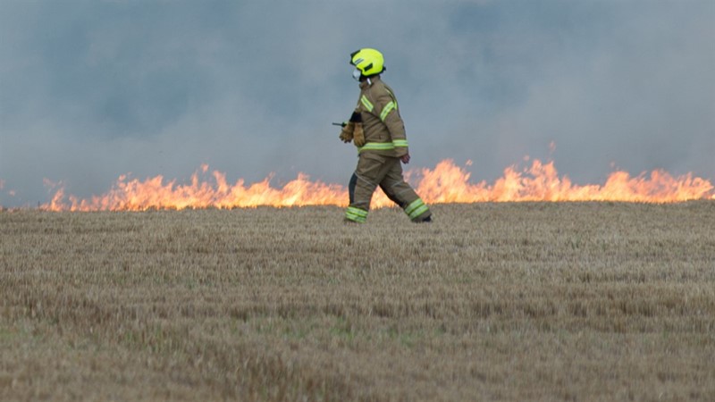 A firefighter walking along a line of flames in an arable field