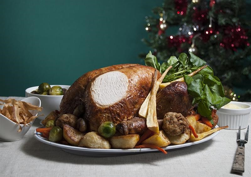 Christmas roast turkey - reduced size for web_70662