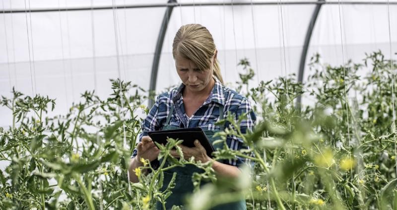Woman trying to use an ipad in a greenhouse surrounded by plants.