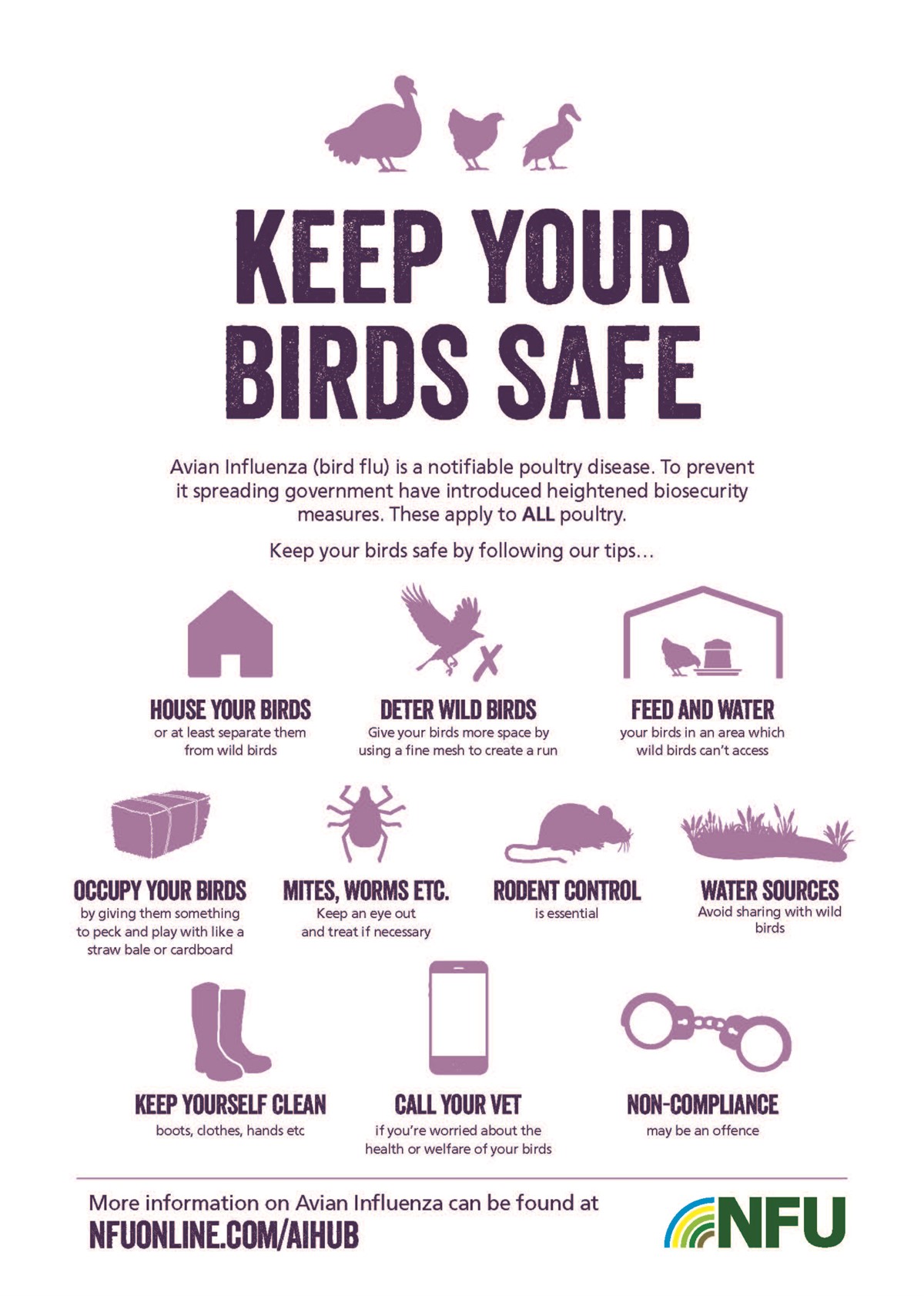 Poultry biosecurity infographic_75562