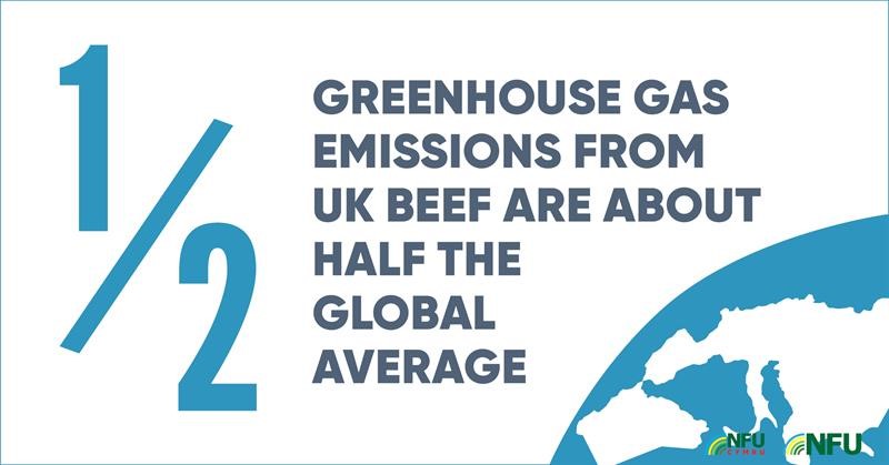 Twitter British beef greenhouse gas carbon footprint infographic_70702