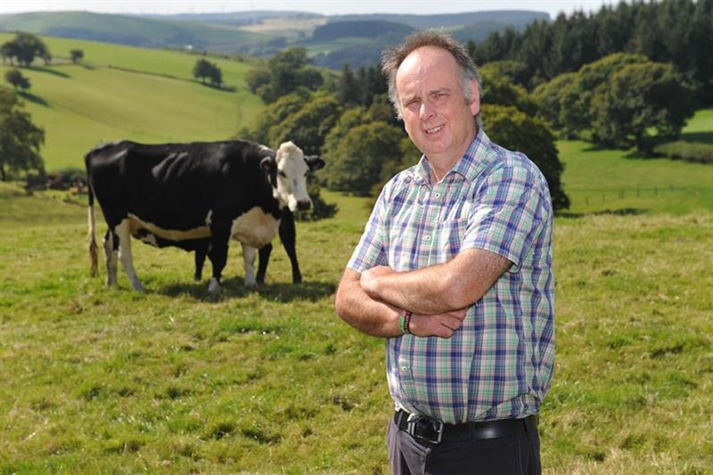 Wyn Evans, beef and sheep farmer in Ystwyth Valley, Wales _68795