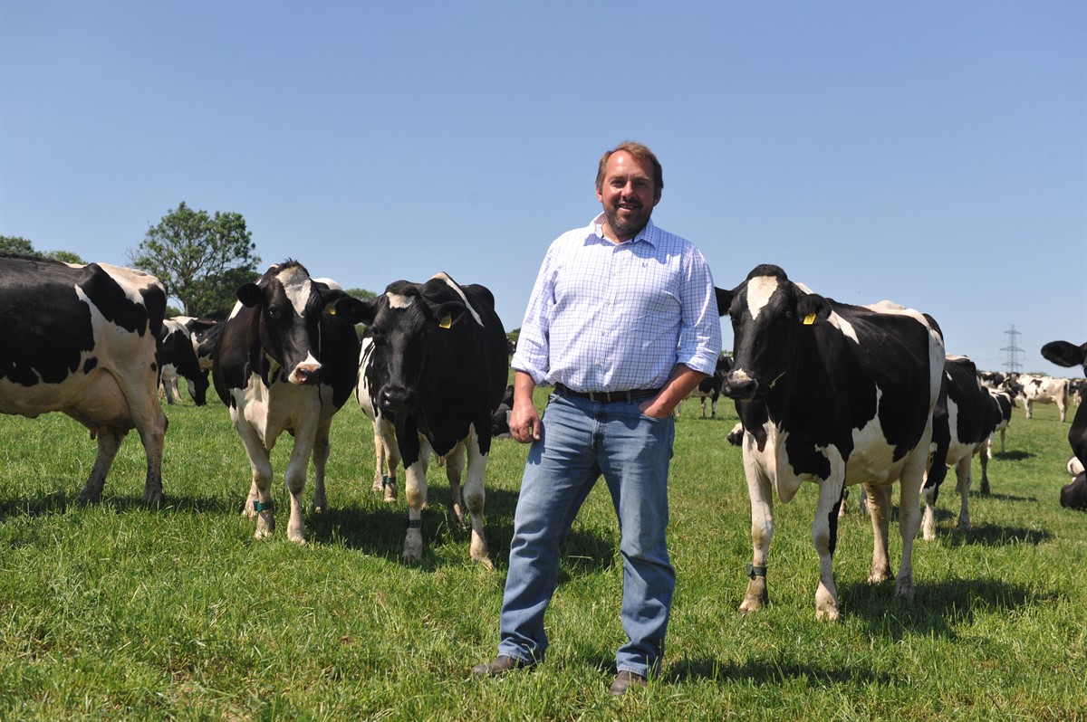 Roger Lewis with dairy cows in field