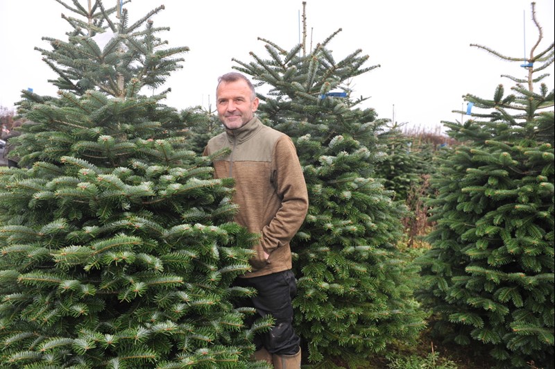 Rob Morgan in his field of Christmas trees