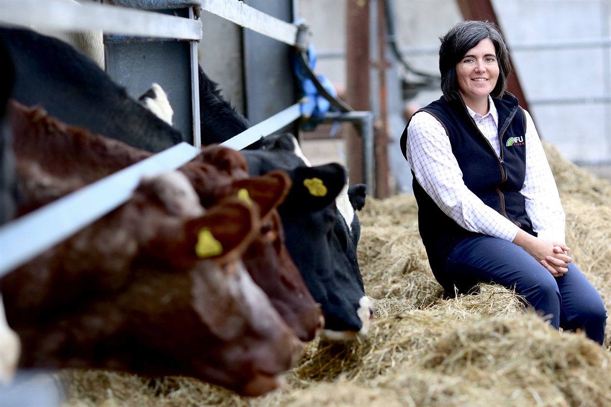 Abi Reader NFU Cymru President 2