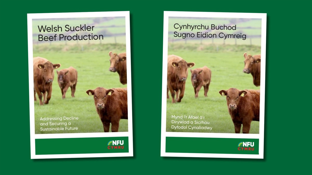 A graphic of the front cover of the report