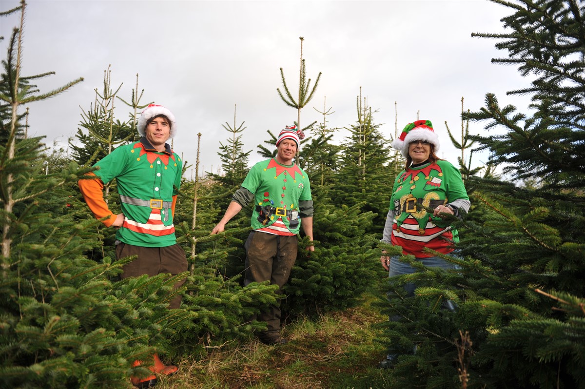 Alfred, Charles and Helen Reynolds at Ty Cerrig Christmas Tree farm