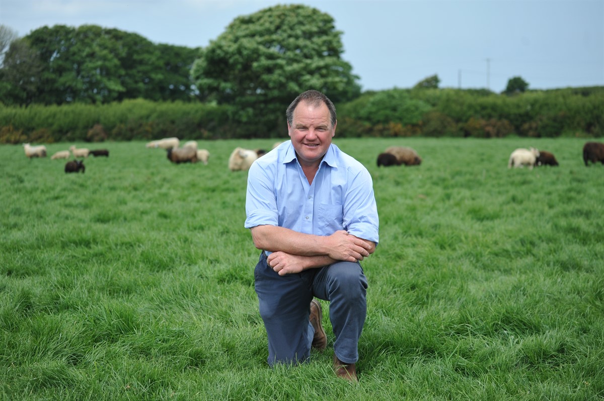 Maarten Davies, Pembrokeshire