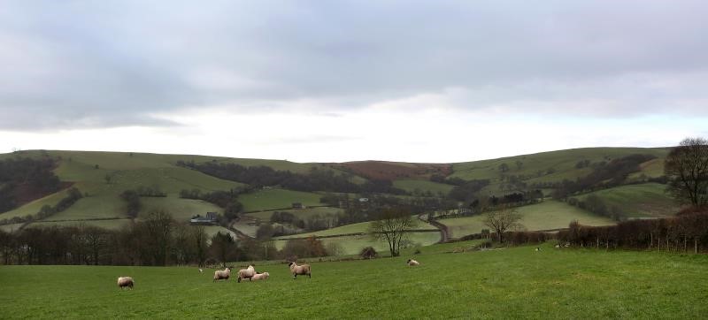 Welsh landscape_49561