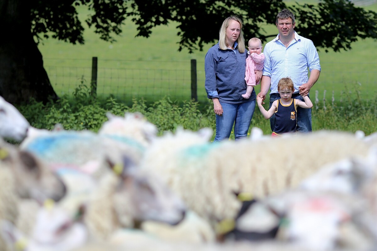 The Dancers with their stock
