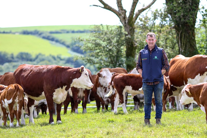 Nigel Owens with his cattle