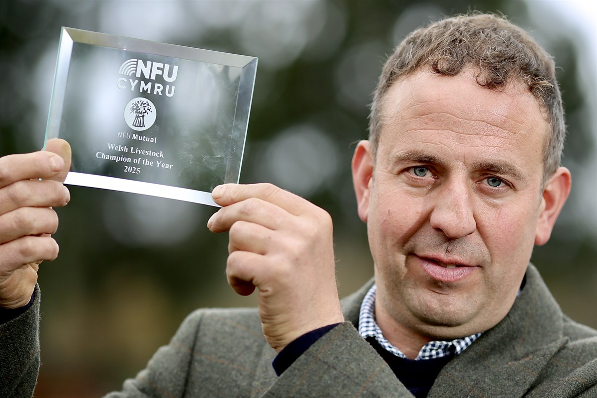 Owen Morgan, Livestock Award winner