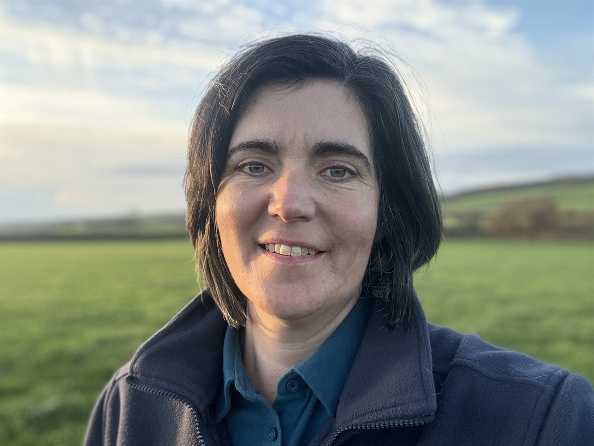 Abi Reader, Presidential candidate