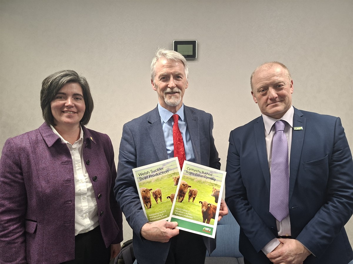 Abi Reader and Paul Williams present the suckler cow report to the Deputy First Minister