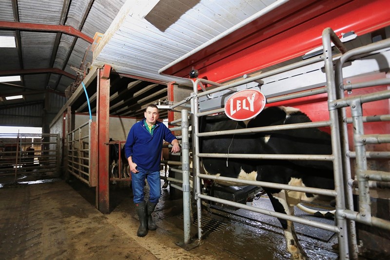 Ifan Evans dairy - feature 2_82176