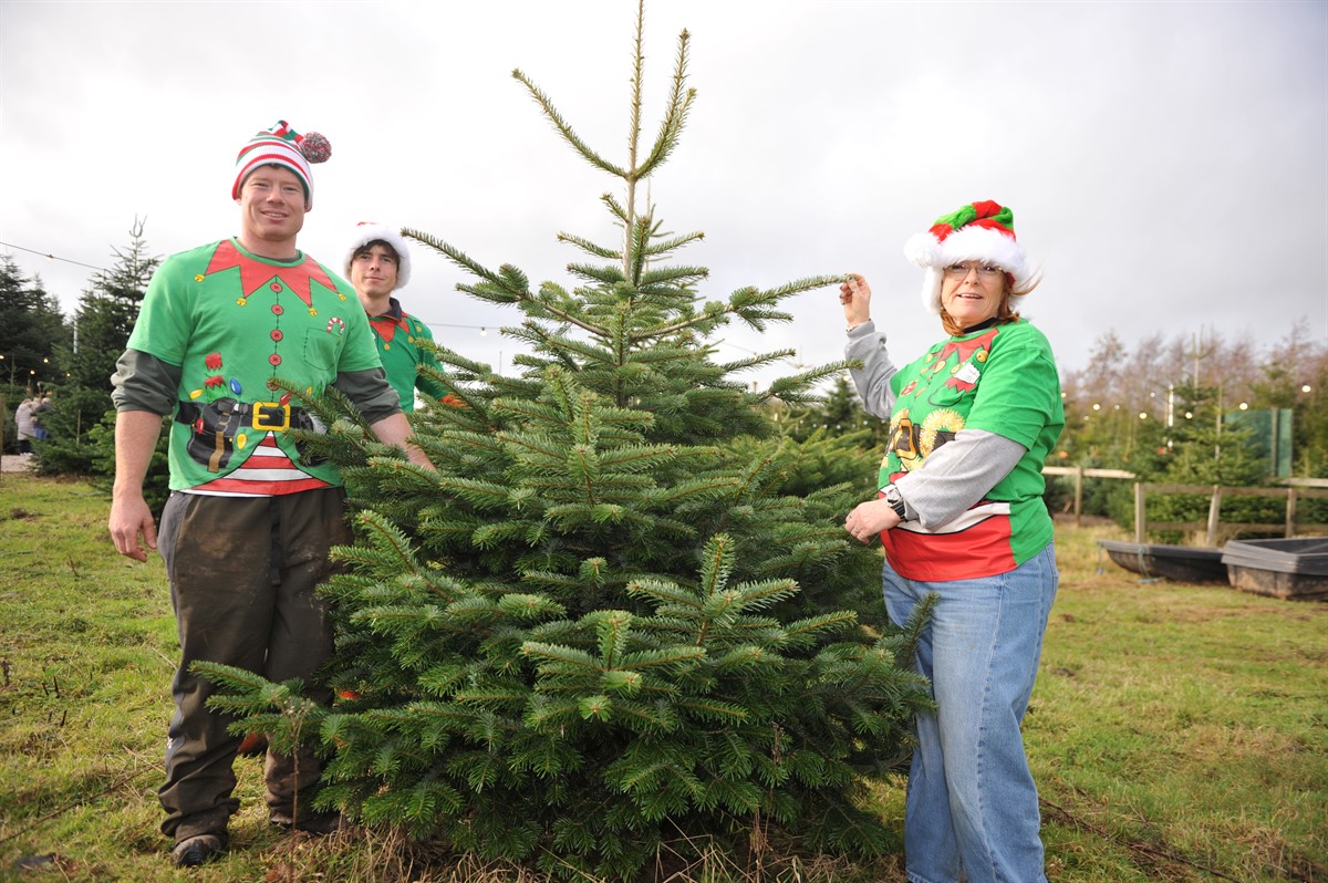 Helen, Charles and Alfred Reynolds, Ty Cerrig Christmas tree farm