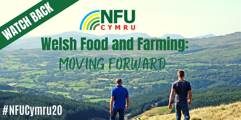 Nfu dissertation sponsorship 04 image